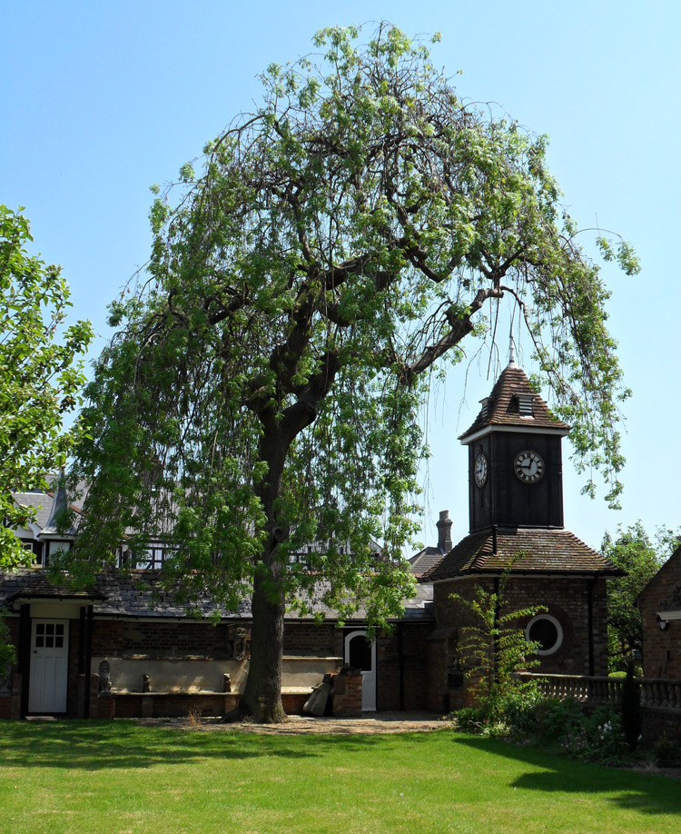 The Panacea community gardens and chapel. The Panacea community gardens and chapel.